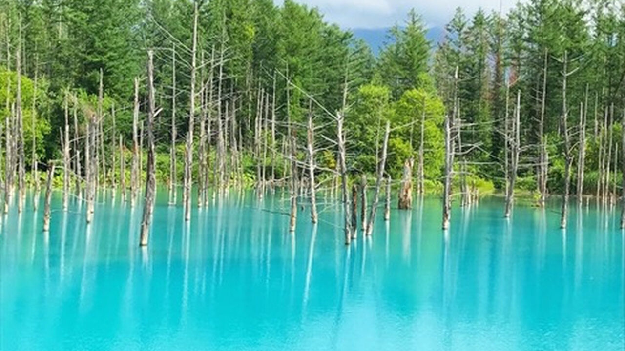 【朗報】北海道の青い池、綺麗すぎる